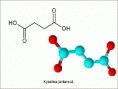 /album/chemsketch/kyselina-jantarova-gif/